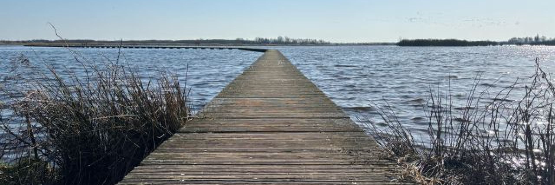 Groningse Vierdaagse