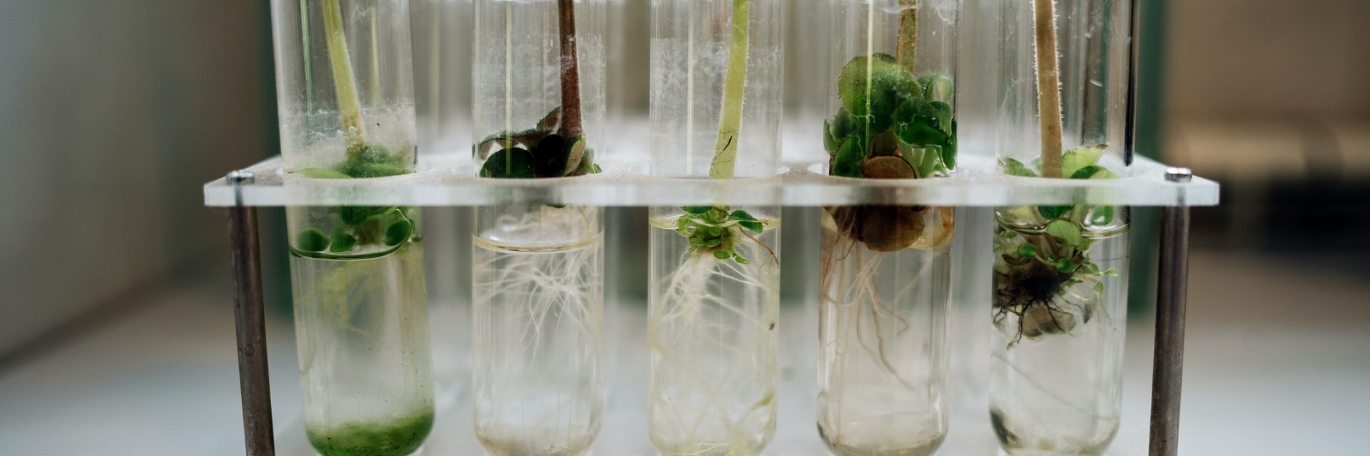 Grant Interreg of 1,87 million for new project EMPHATI of BIO Cooperative 