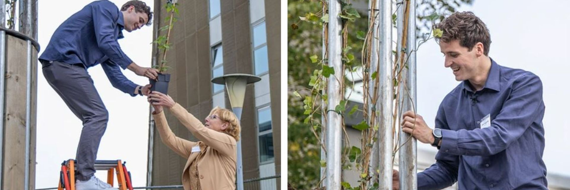Student sees his concept of the Climate Tree grow into the first example on the Zernike Campus