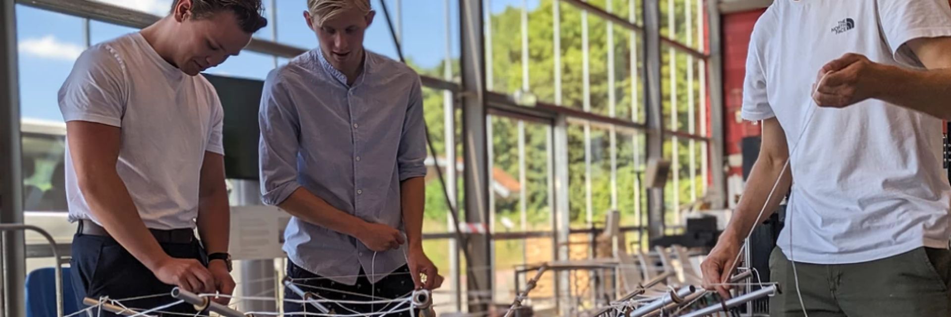 Opening Climate Tree