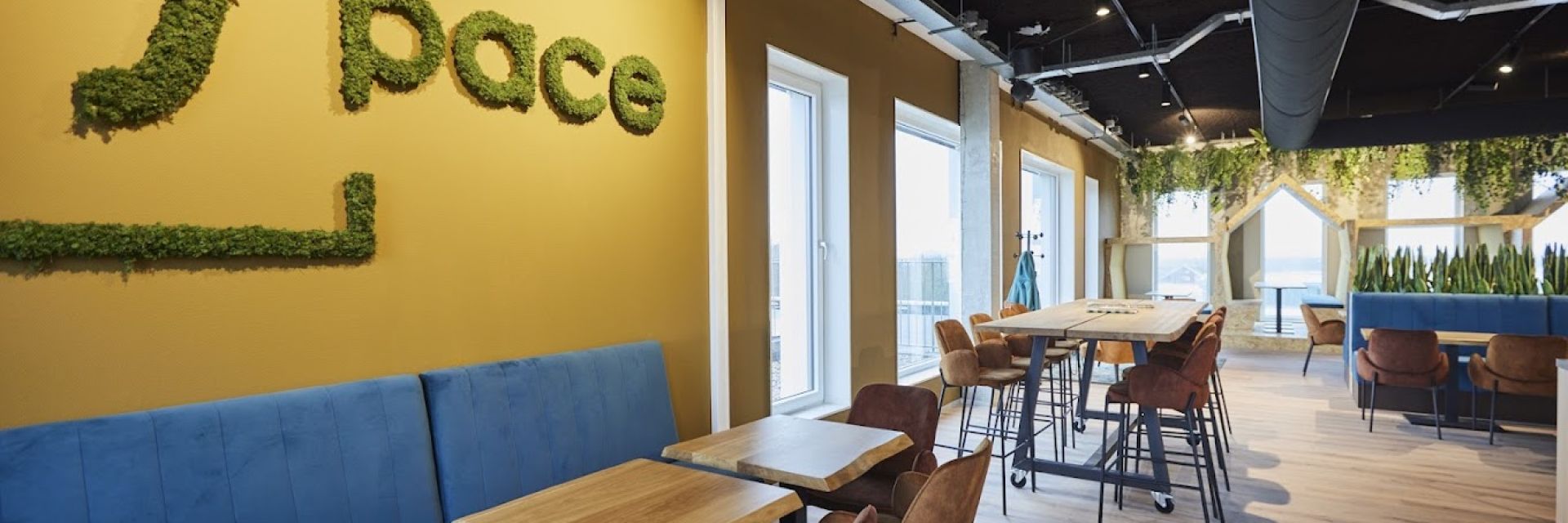 Hospitality on Zernike during summer holidays