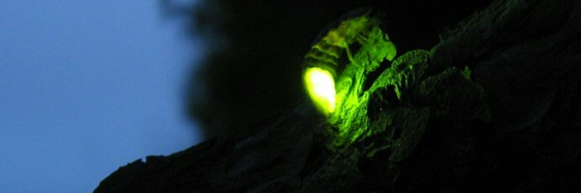 Energy: more than electricity