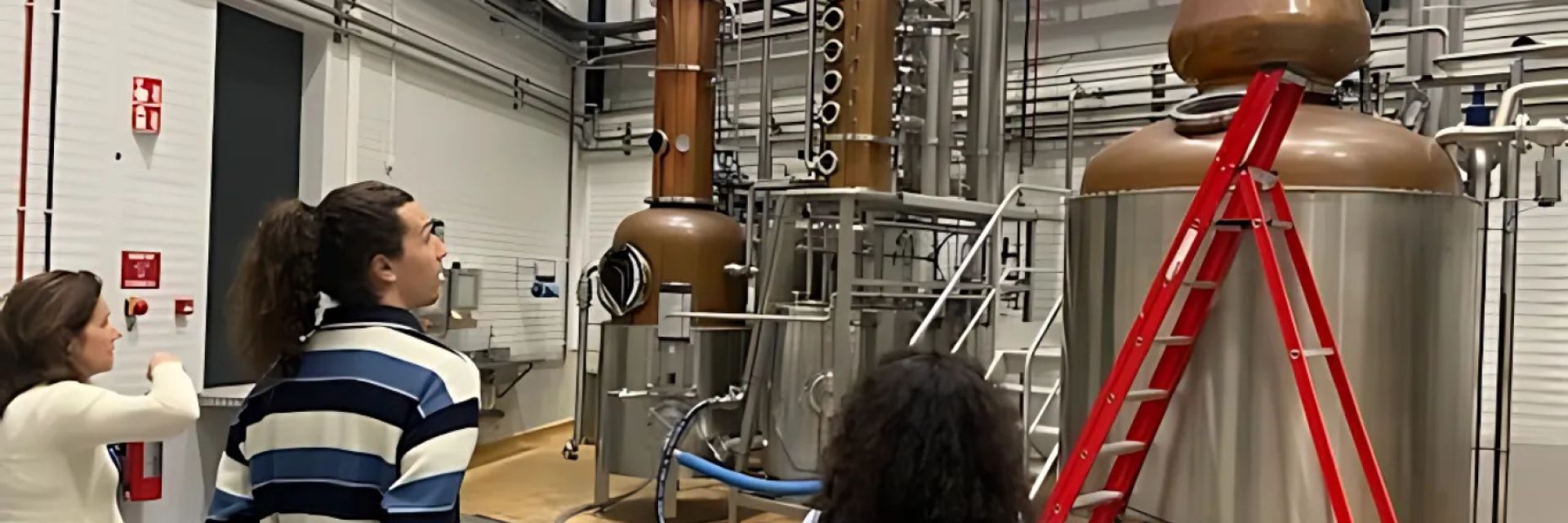 "For real scaling, you need a plan." Parrhesia Fermentery continues to grow with the Mkb Feasibility Voucher and Innolab AgriFood.