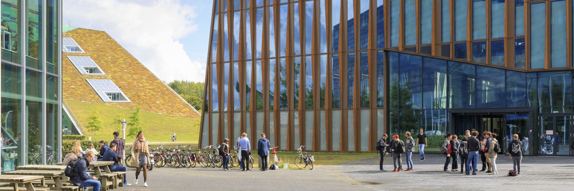 Even from Silicon Valley people come to Groningen