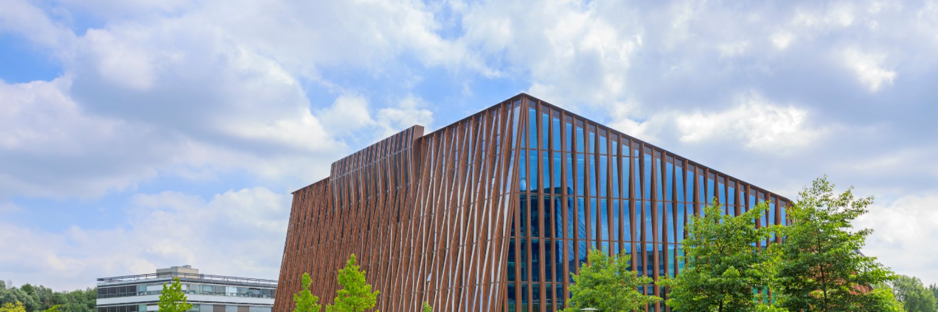 Masterclass in Flexibility and Energy Storage