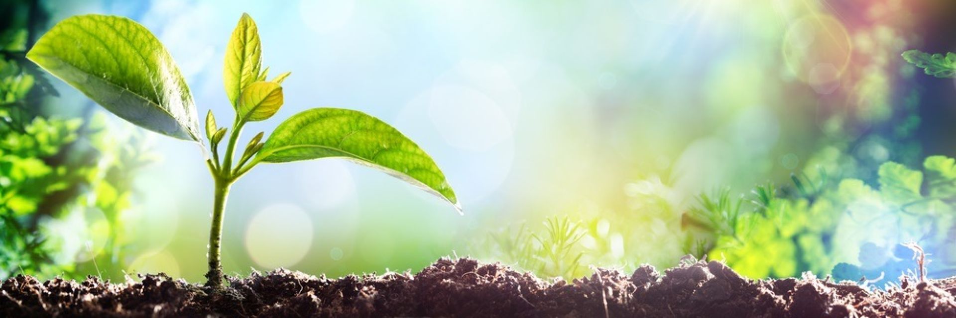 Symposium CoE Healthy Ageing 2017