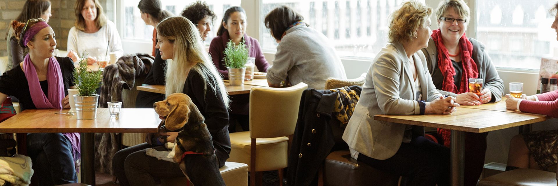 Welcome Day Internationals