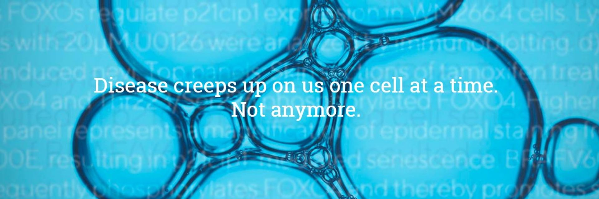 ERIBA launches a biotech start-up company