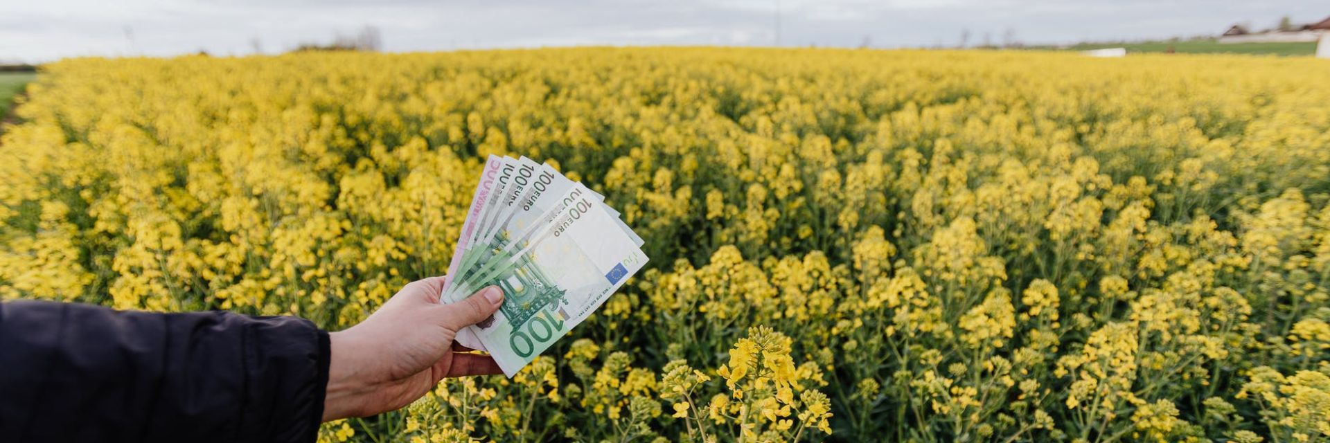 Circular Economy 2050