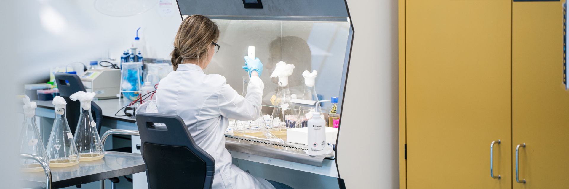 80 million subsidy for PharmaNL from the National Growth Fund