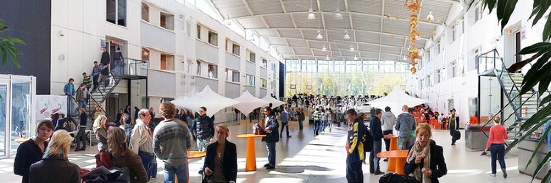 Another triumph for Hanze University regarding entrepreneurship