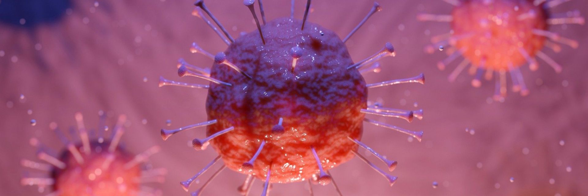 Dutch Hacking Health: Hack Corona