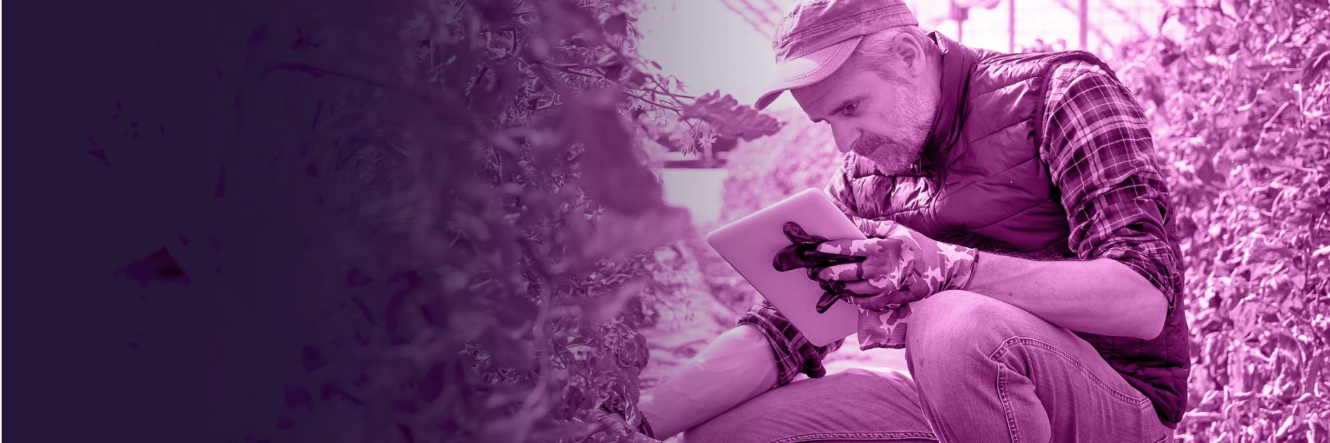 DeepHack - From Farm to Fork