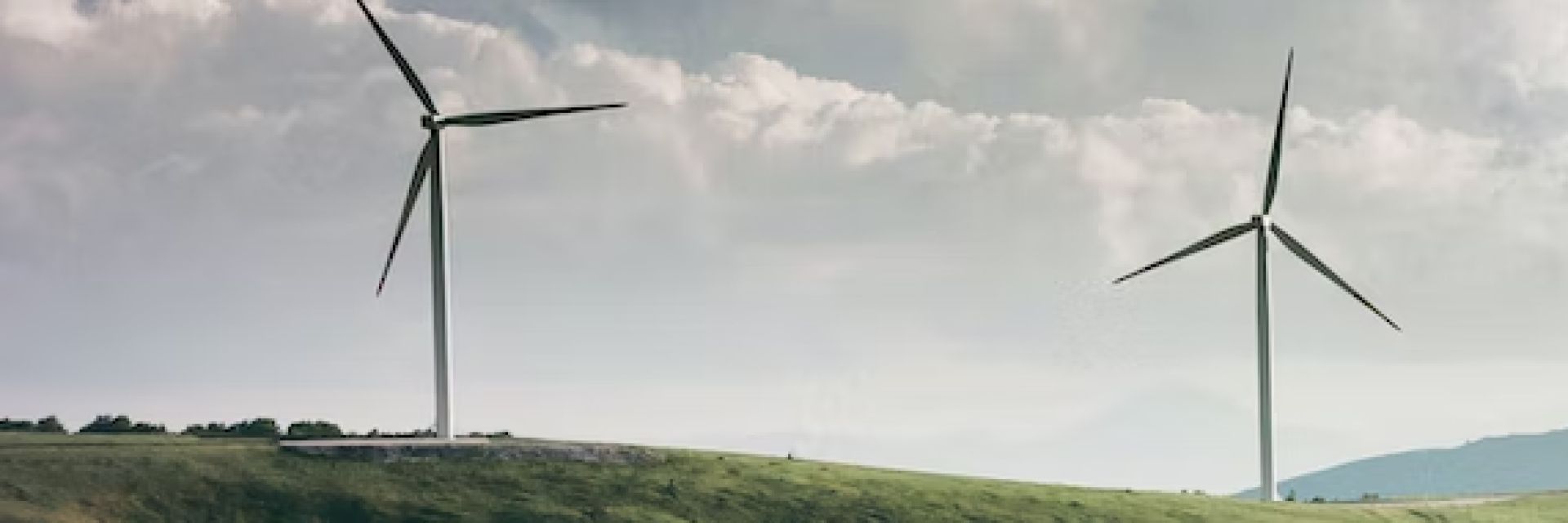 Meet Your Future in Sustainability