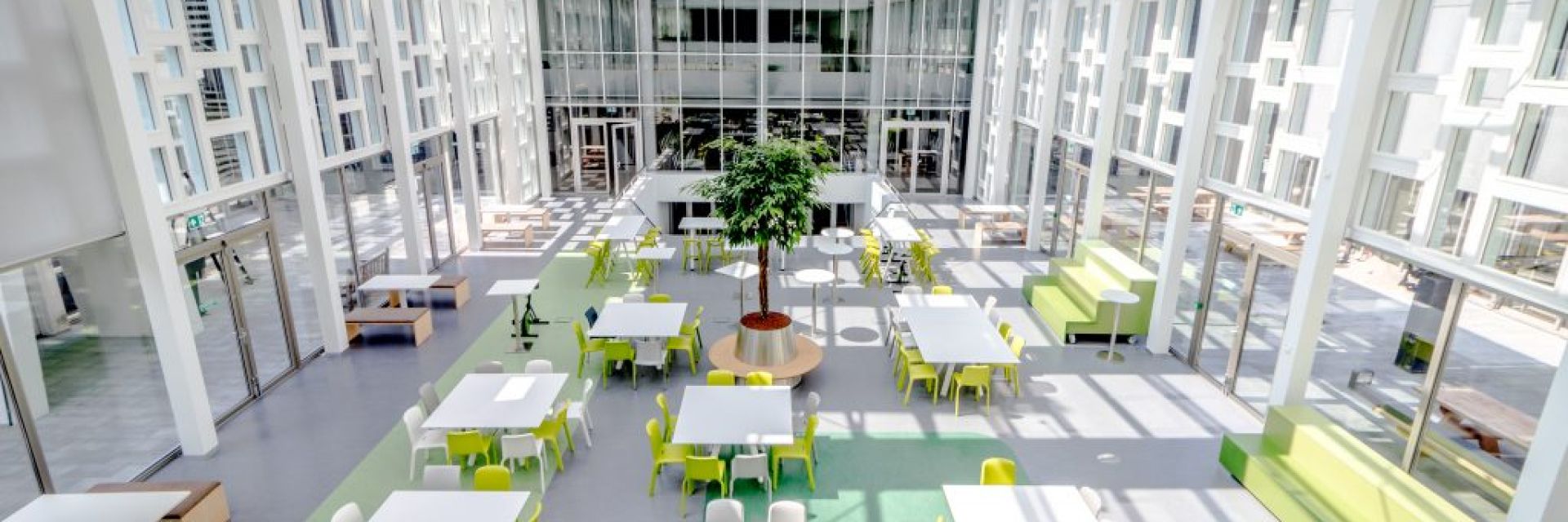 Healthy Ageing Hanze University renewed