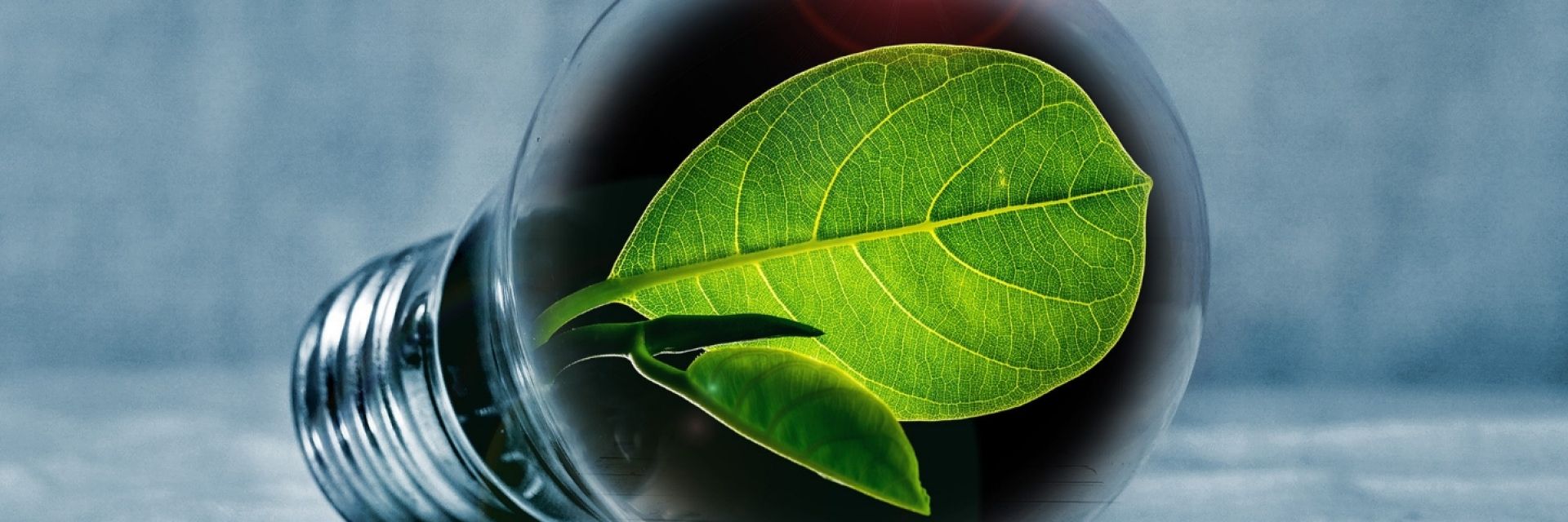 Masterclass in Flexibility and Energy Storage