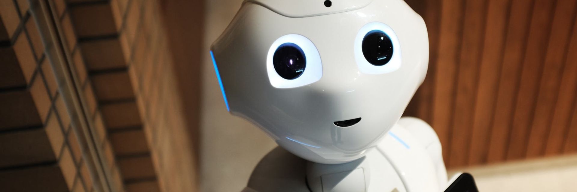 Engineering Festival