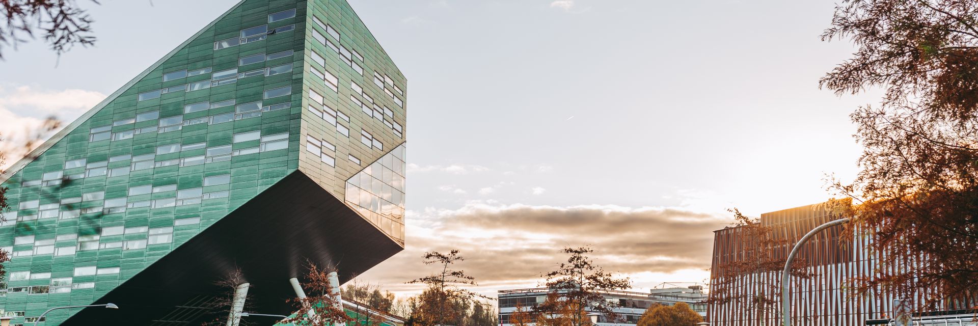 Three scientists receive royal honors on RUG nomination