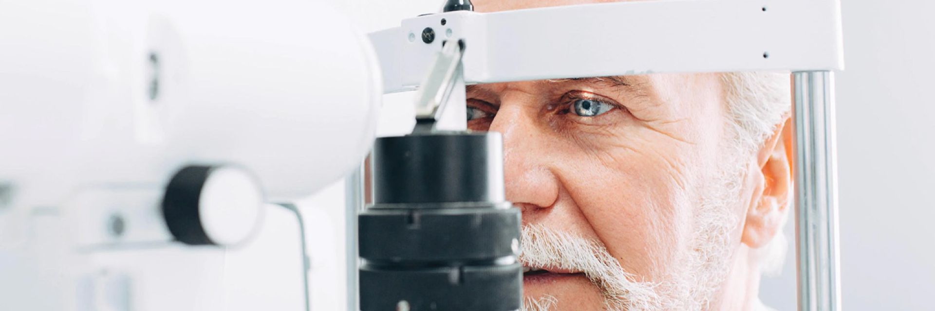 ELOC launches at Campus Groningen: a fresh vision on eye care. 