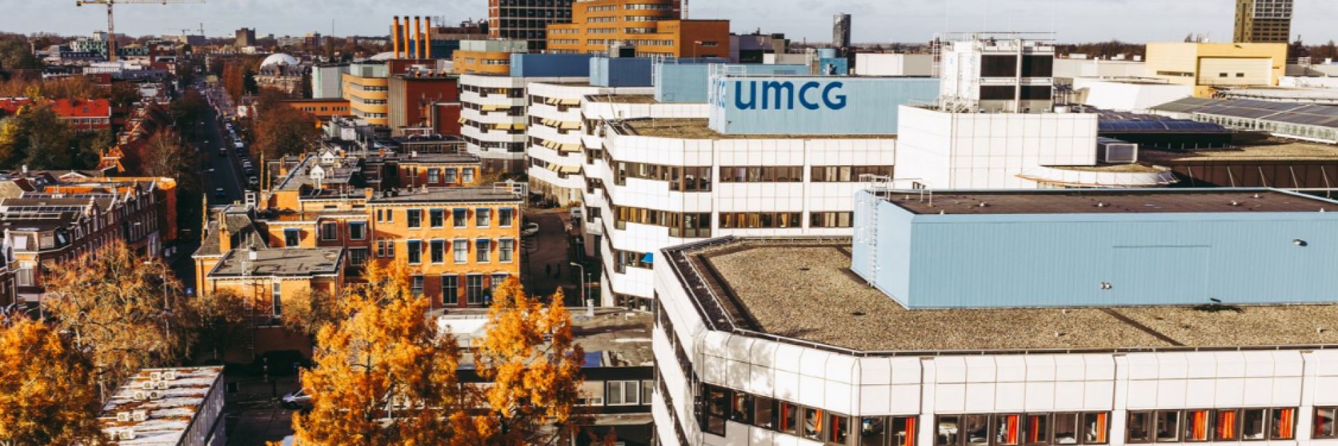Large grants for four Groningen researchers from the University of Groningen and UMCG
