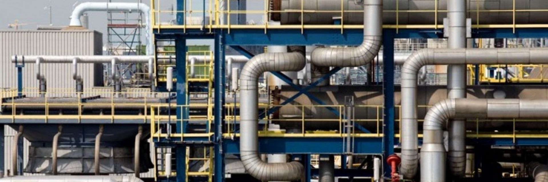 New grant BioBridge for innovations in biobased economy