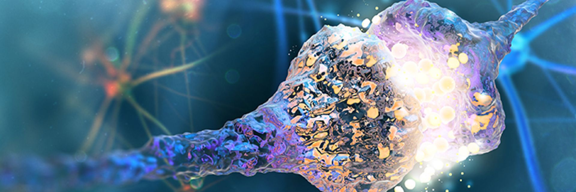 UMCG opens new Pain Center