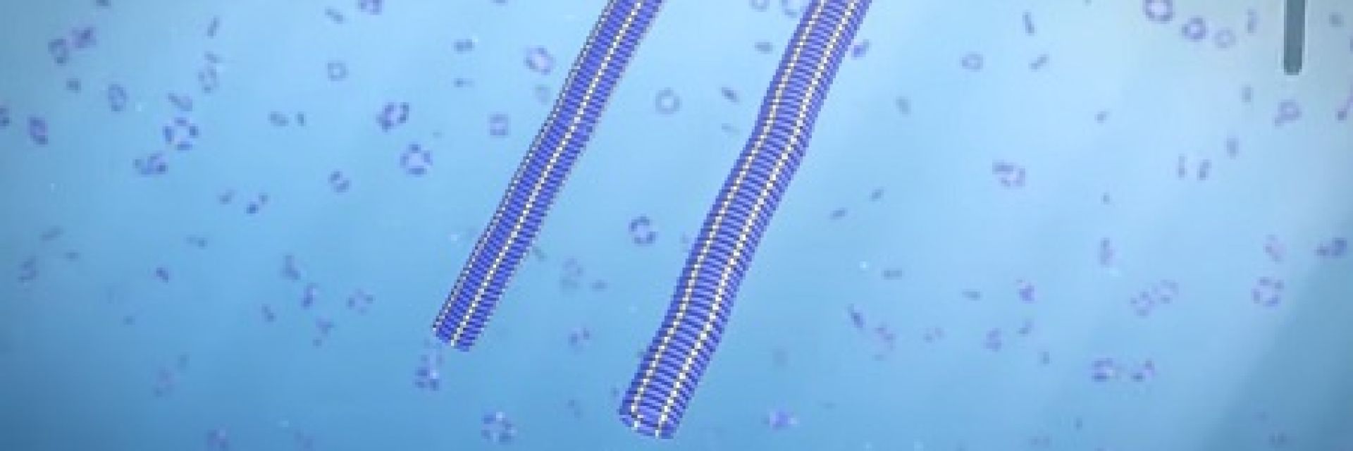 Groningen chemist Sijbren Otto wins Royal Society of Chemistry Award