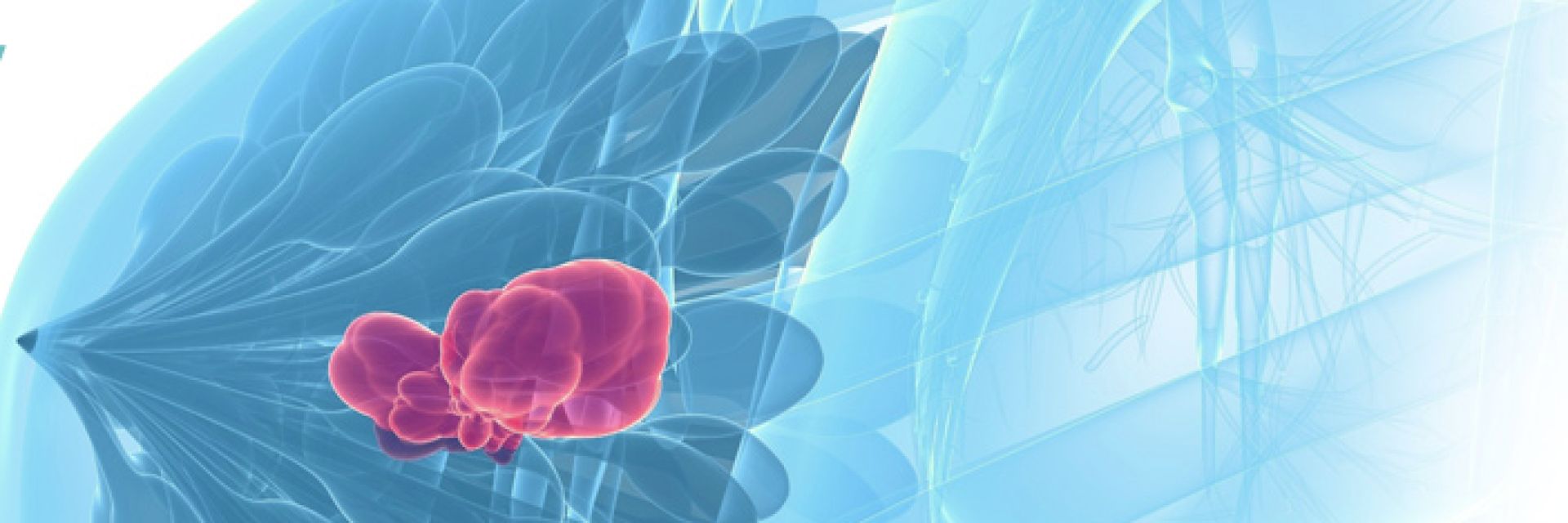 Hercules ontvangt investering en komt naar de Campus