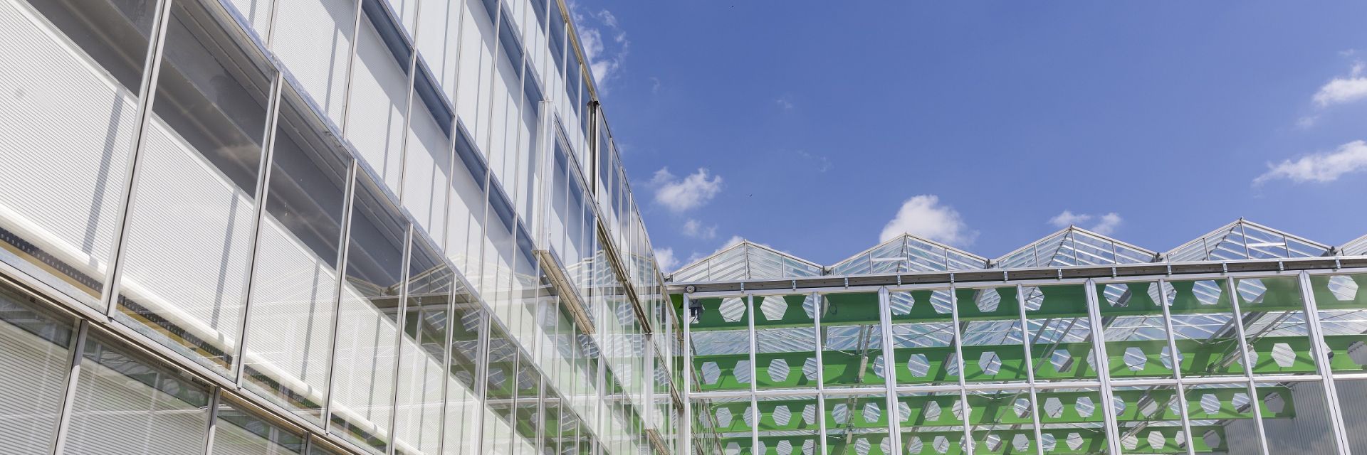 EnTranCe nominated for Offshore Energy Award 2018