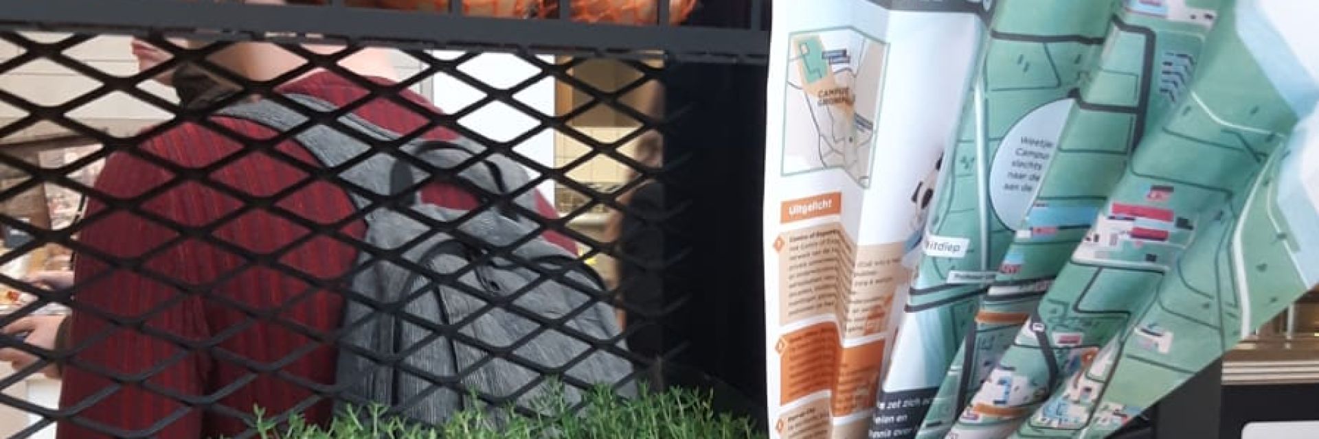 Healthy lunches during Healthy Ageing Week