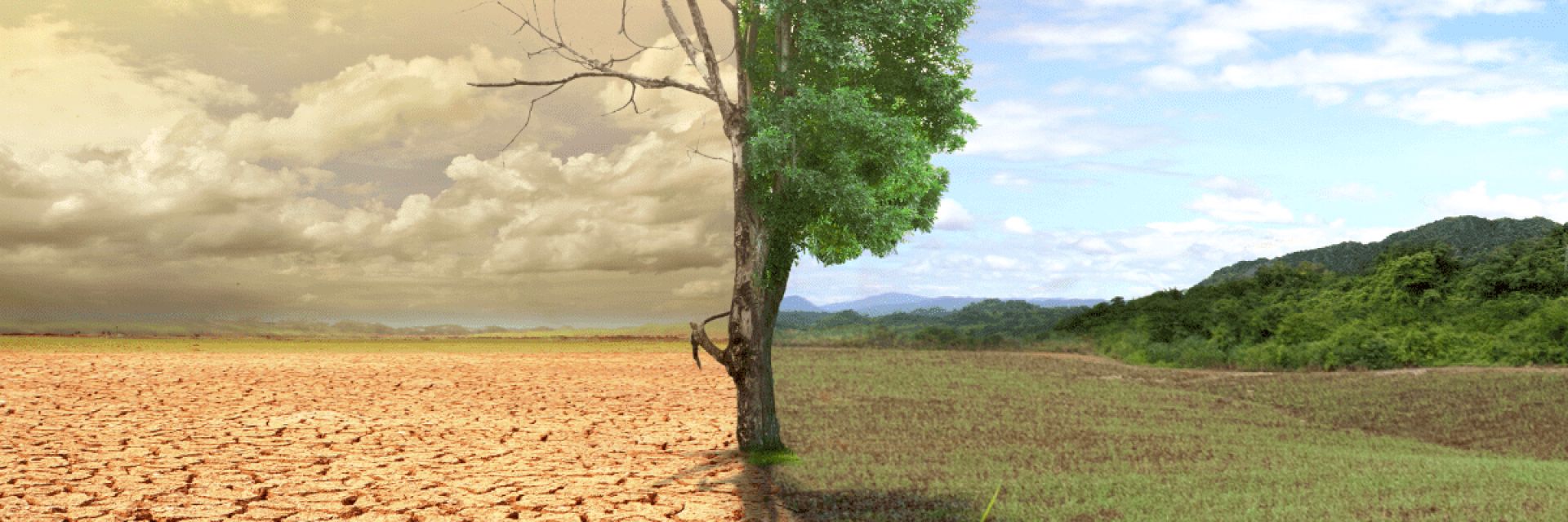 Breaking Boundaries – Freshwater use