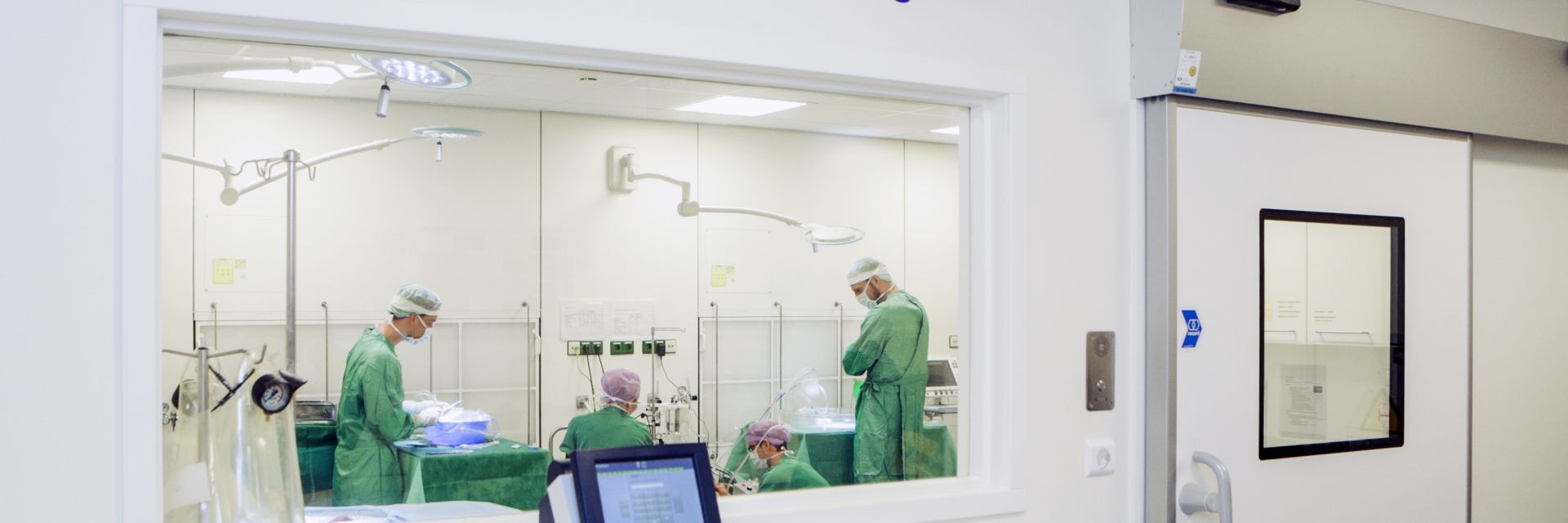 Matchmaking One kidney for life