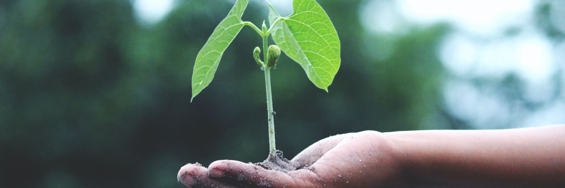 Sustainability Day at the UMCG on April 18