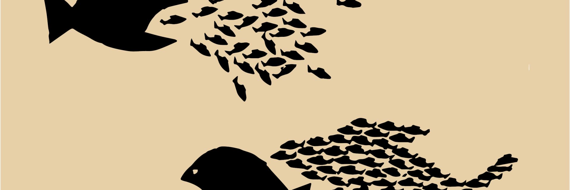 Business meets University: Stimulating Creativity and Innovation in the Northern Netherlands