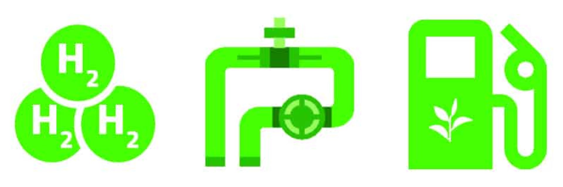 Energy Lecture: The Green Hydrogen Economy