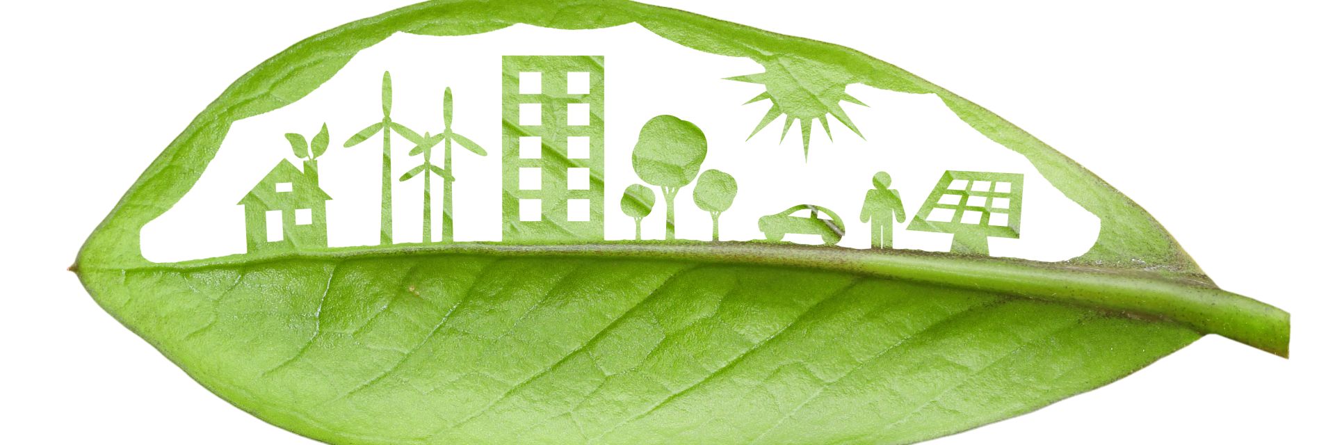 Day of Sustainability