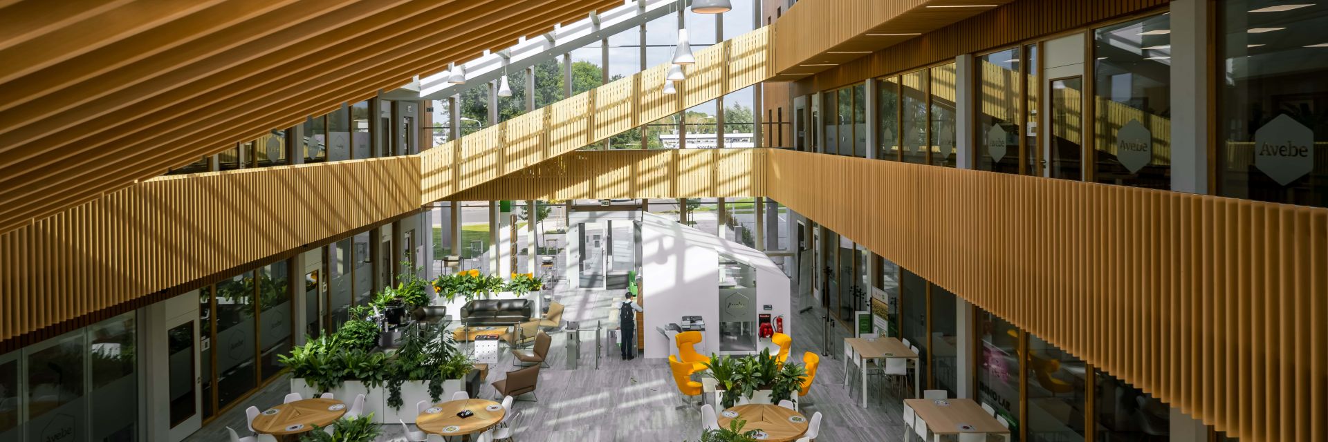 TED-talk Prof. Luc van Loon