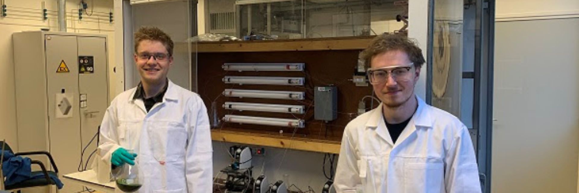 Scientists create coatings from nature