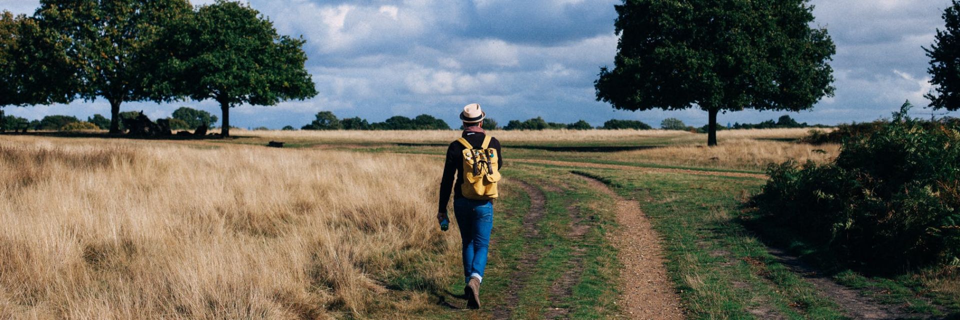 Participation in Lifelines can help prevent cardiovascular disease