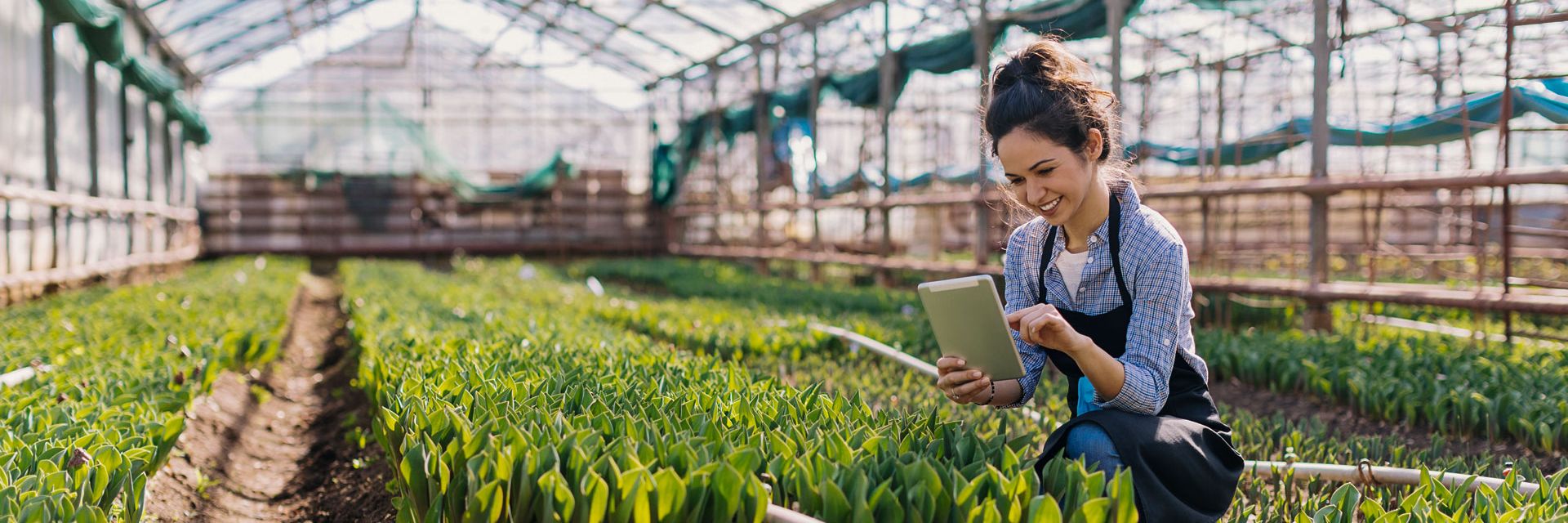 Precision farming meet-up